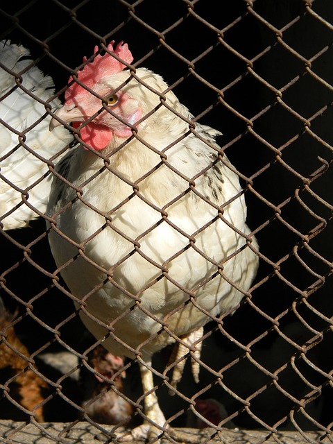 中国男篮时隔3年再输韩国，上次输球是22年亚洲杯小组赛