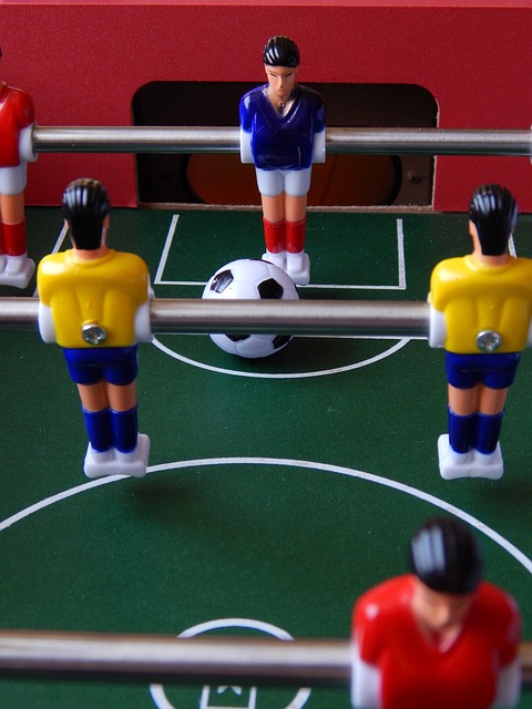 体育联合会