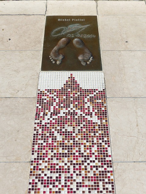 来发展树立