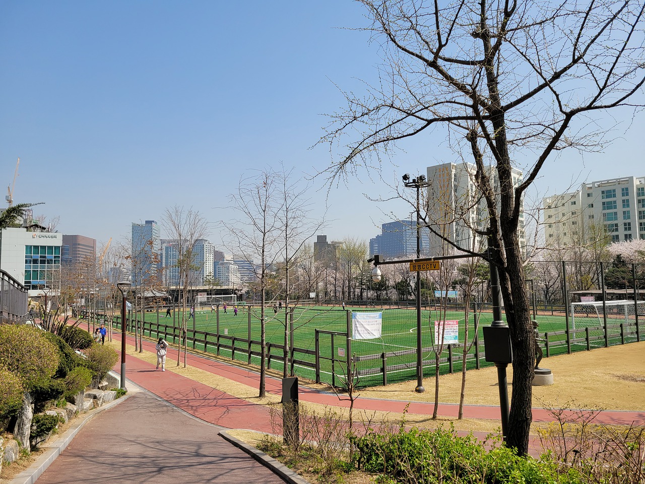 戴尔的应对 戴尔的应对