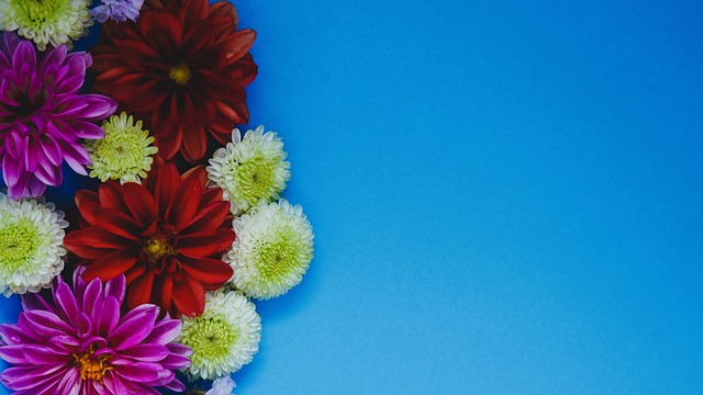 的角度来看 的角度来看