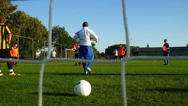 将自己的技 将自己的技