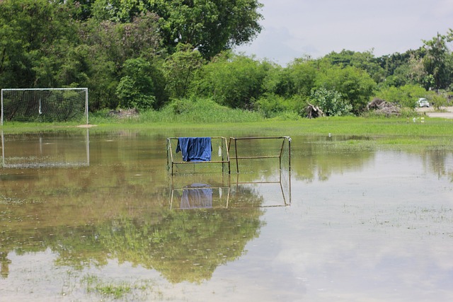 价机制时 价机制时