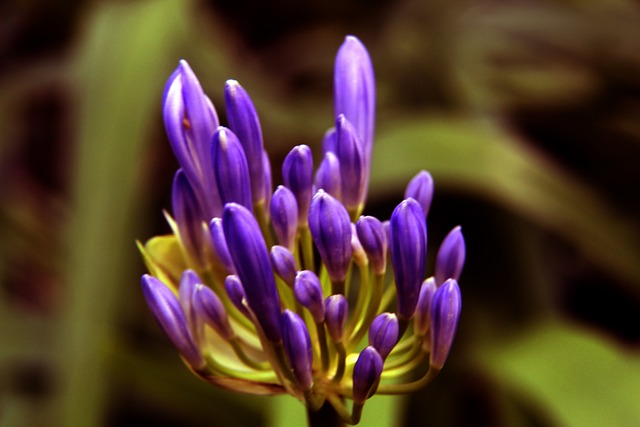 员会有必要 员会有必要