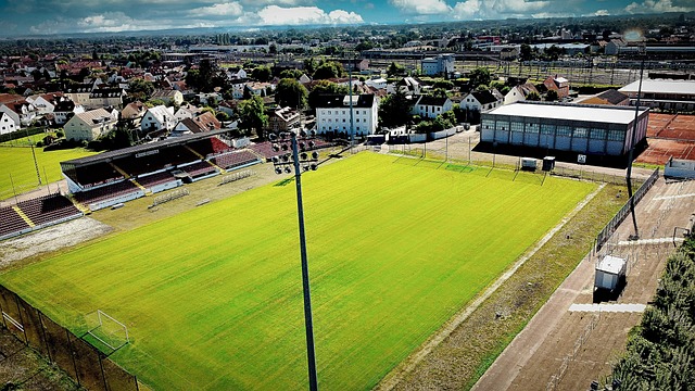 成為本次排 成為本次排